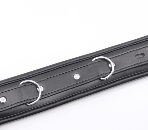 Berlin Baby Padded BDSM Collar With Lockable Buckle for Power Exchange - Collars and Leads