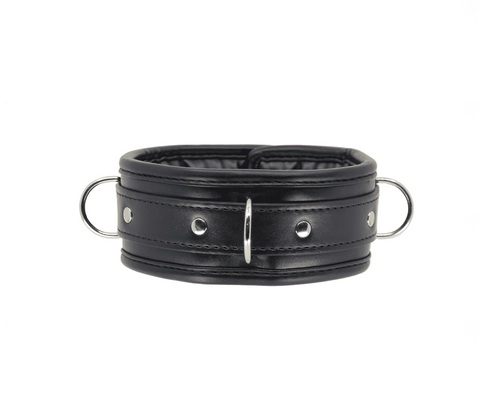Berlin Baby Padded BDSM Collar With Lockable Buckle for Power Exchange - Collars and Leads