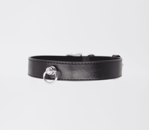 Love In Leather Tipped Bondage Collar & Lead Set Premium Padded BDSM Collar - Collars and Leads