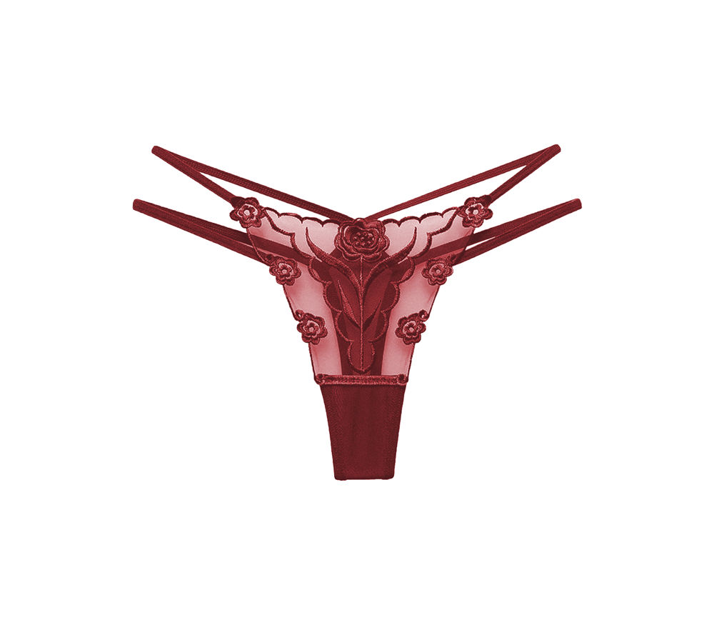 Love In Leather Womens Embroidered G String Panties Wine Seductive Lingerie - Small - G-Strings, Panties and Shorts