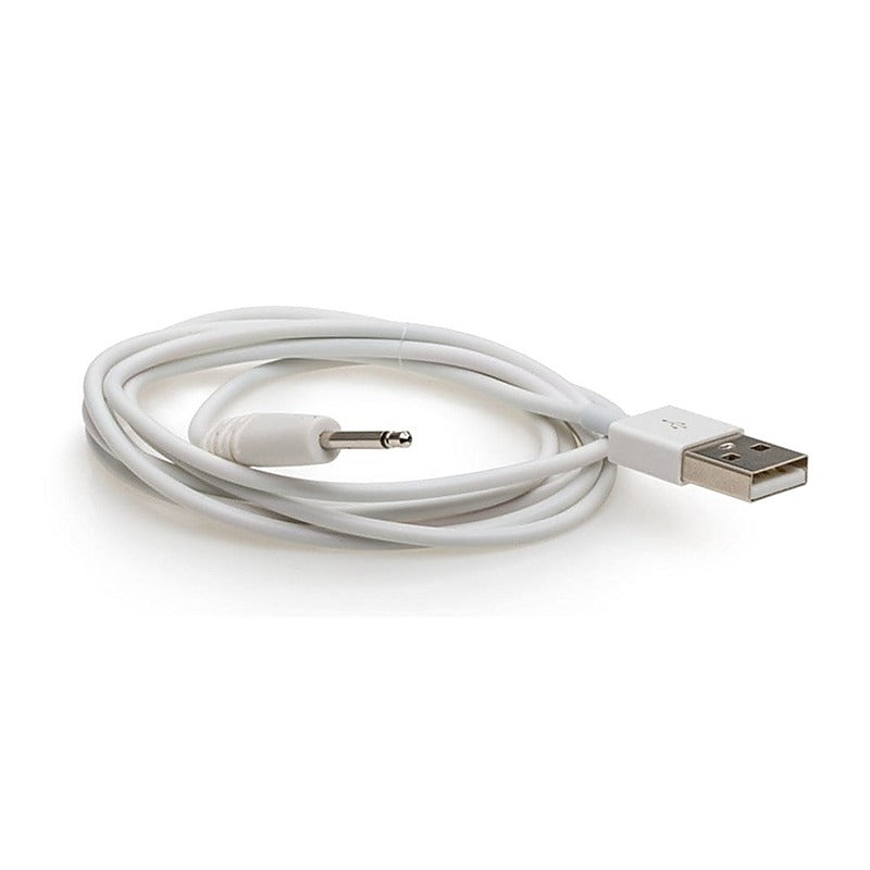 We-Vibe Rave Charging Cable by Love Honey - Vibrator Accessories