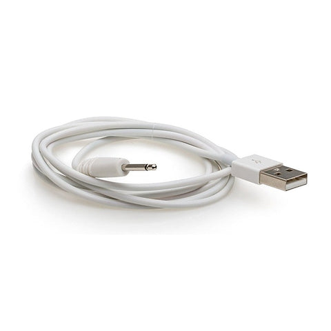We-Vibe Rave Charging Cable by Love Honey - Vibrator Accessories