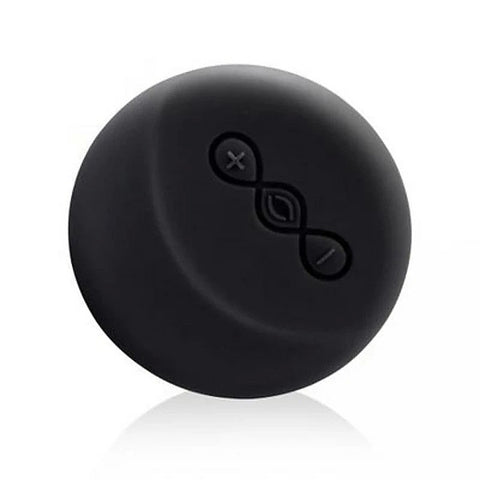 Lelo Insignia Remote Control Wireless Controller SenseMotion Technology - Body Wands