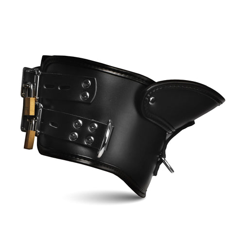 Master Series Rigid Locking Posture Collar with Chin Brace - Collars and Leads