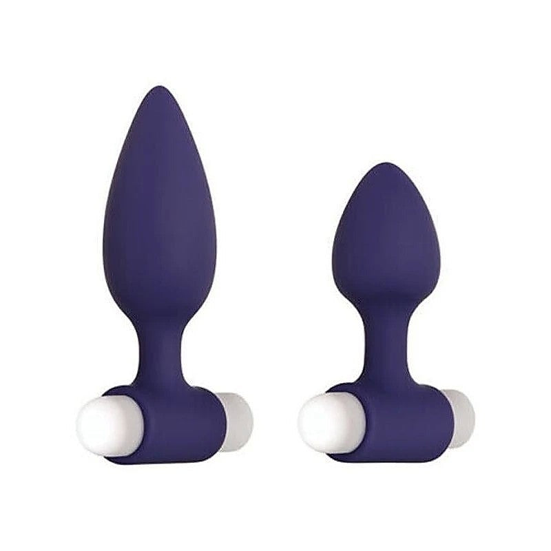Professional-Grade Dynamic Duo by Evolved - Anal Vibrators