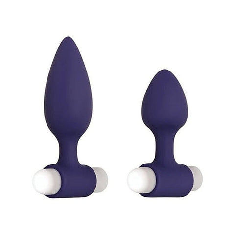 Professional-Grade Dynamic Duo by Evolved - Anal Vibrators