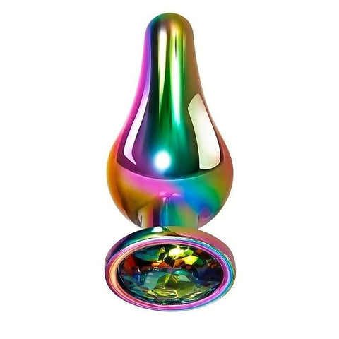 Premium Rainbow Metal Pleasure Plug by Evolved - Butt Plugs