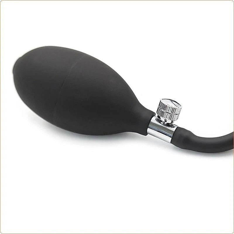 Premium Inflatable Butt Dildo by BDStyle - Anal Dildos