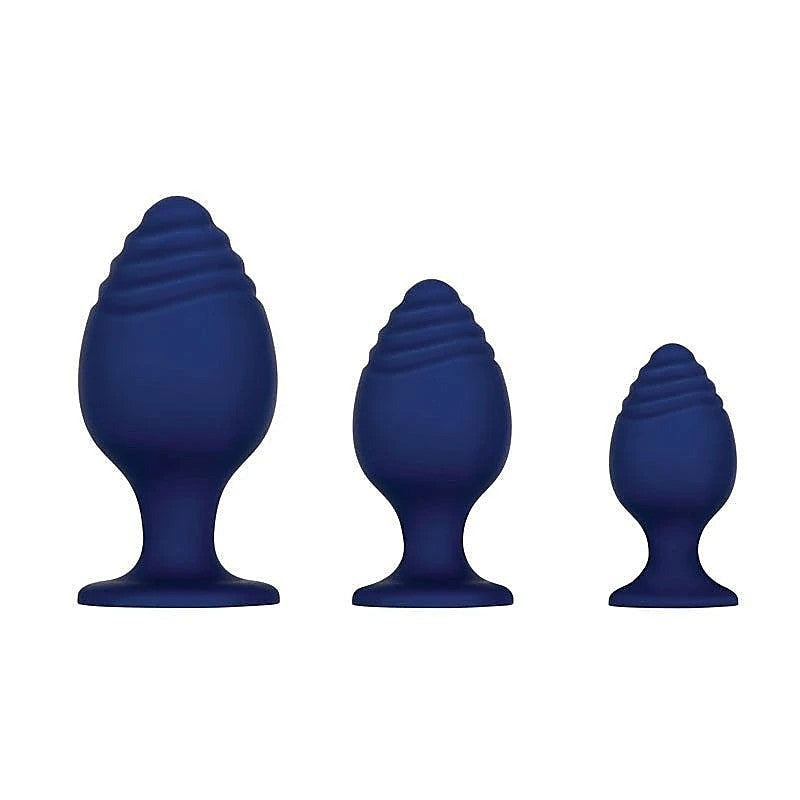 GET YOUR GROOVE ON Butt Plug Set by Evolved - Butt Plugs
