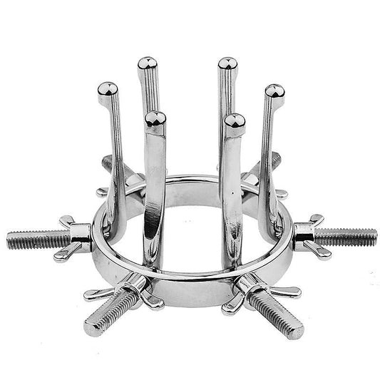 Anal Spreader Dilator Vaginal Speculum by BDStyle - Dental and Clinical