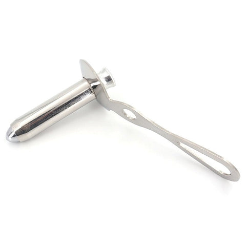 Premium Chelsea-Eaton Anal Speculum by BDStyle - Dental and Clinical