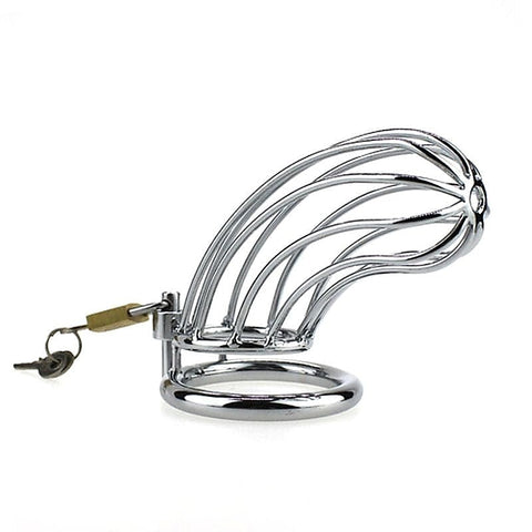 Premium Caged Tiger Chastity Device by BDStyle - Male Chastity
