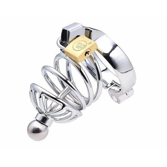 Instituted Cock Cage & Penis Plug by BDStyle - Male Chastity