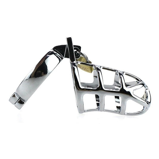 Steel Cock Cage by BDStyle - Ball and Cock Toys