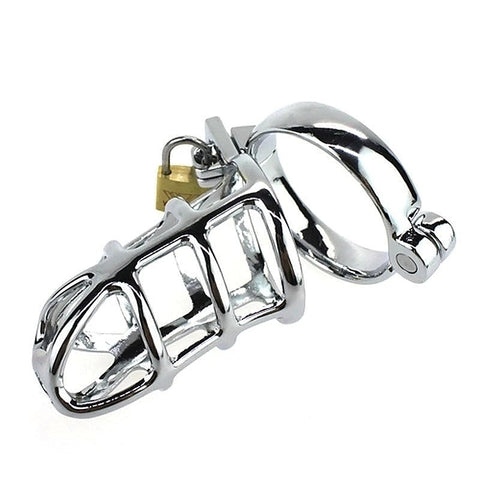 Professional-Grade Steel Cock Cage by BDStyle - Ball and Cock Toys