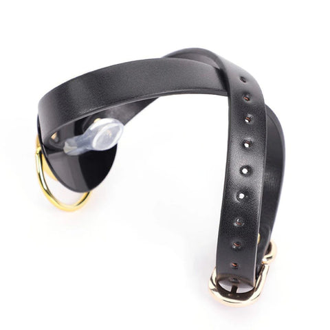 BDStyle Pacifier Mouth Gag With Nipple Clamp Clip BDSM Restraint Set - Breast and Nipple Toys