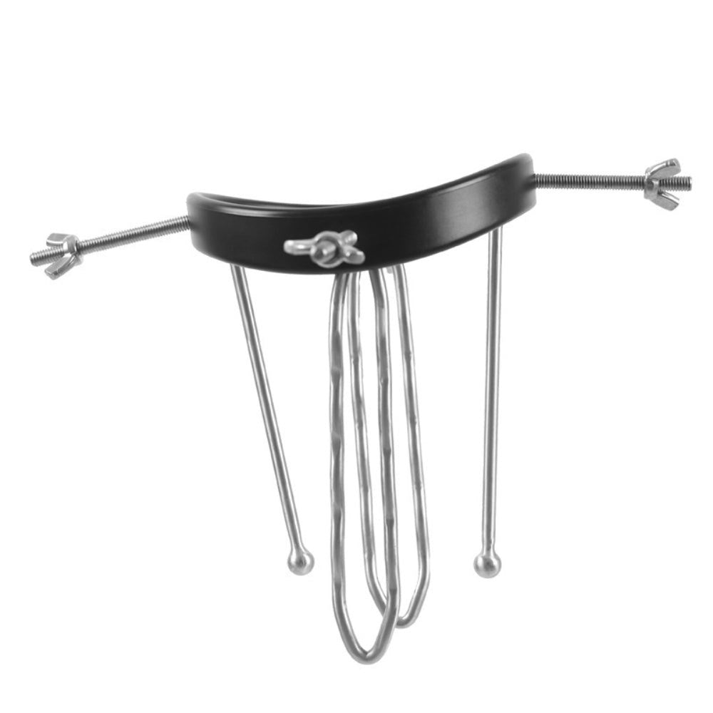 BDStyle Resin & Steel Intimate Exploration Anal Spreader Premium Materials - Steel Sex Toys