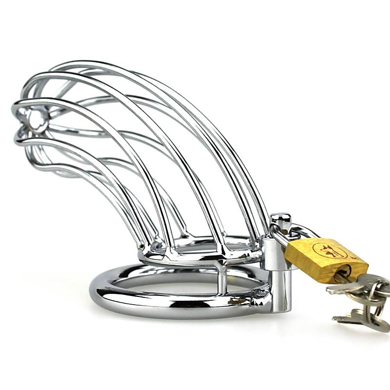 Silver Caged Tiger Male Chastity Device by BDStyle - Male Chastity