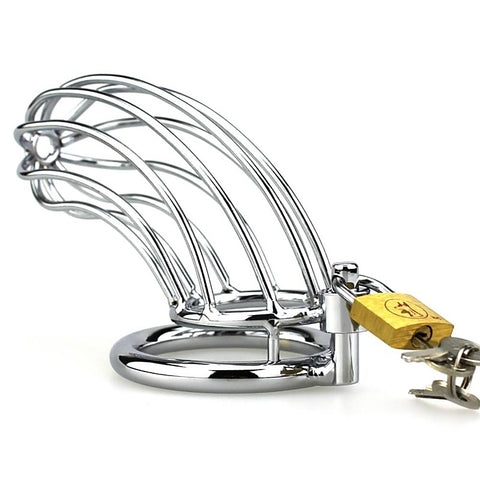Silver Caged Tiger Male Chastity Device by BDStyle - Male Chastity
