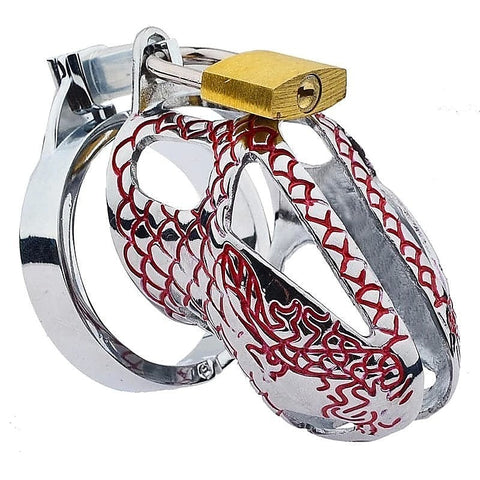 Bird Lock Chastity Cage Silver by BDStyle - Male Chastity