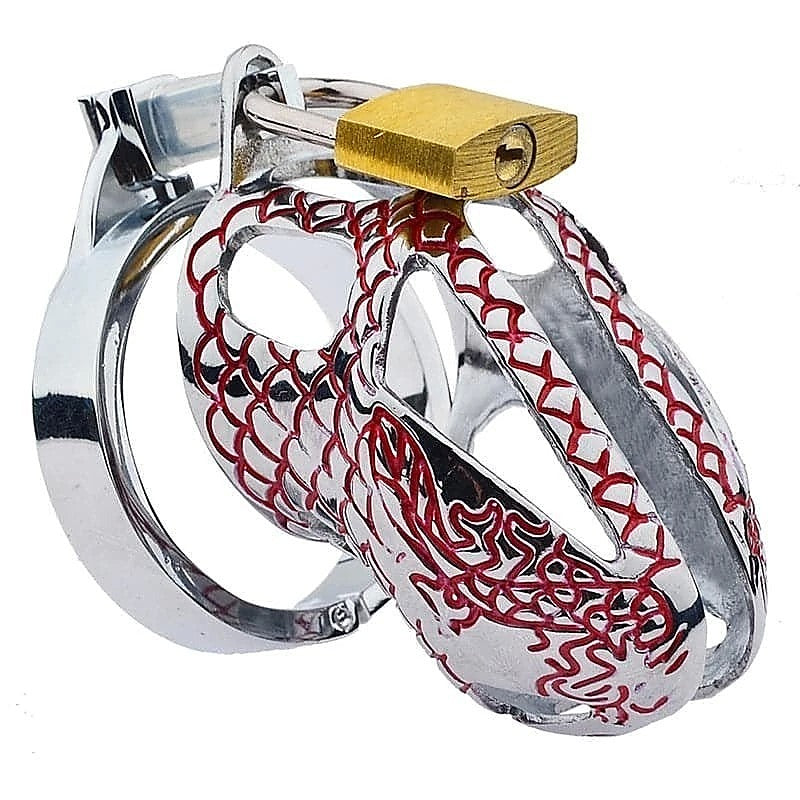 Premium Bird Lock Chastity Cage by BDStyle - Male Chastity