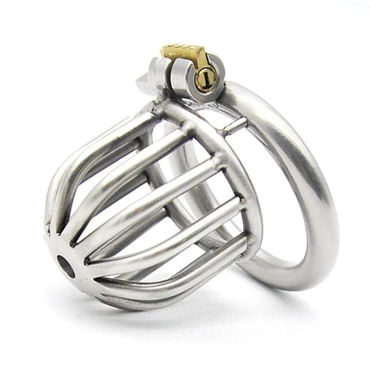 Asylum Chastity Cage by BDStyle - Male Chastity
