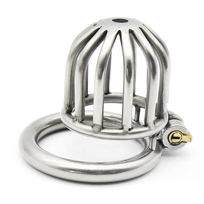 Professional Asylum Chastity Cage by BDStyle - Male Chastity