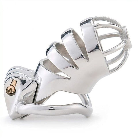 Premium Bird Cage Chastity Device by BDStyle - Male Chastity