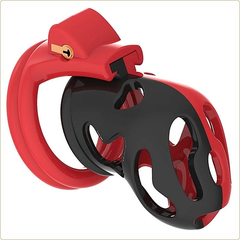 La Color Birdlocker Male Cock Cuff Chastity Cage by BDStyle - Male Chastity