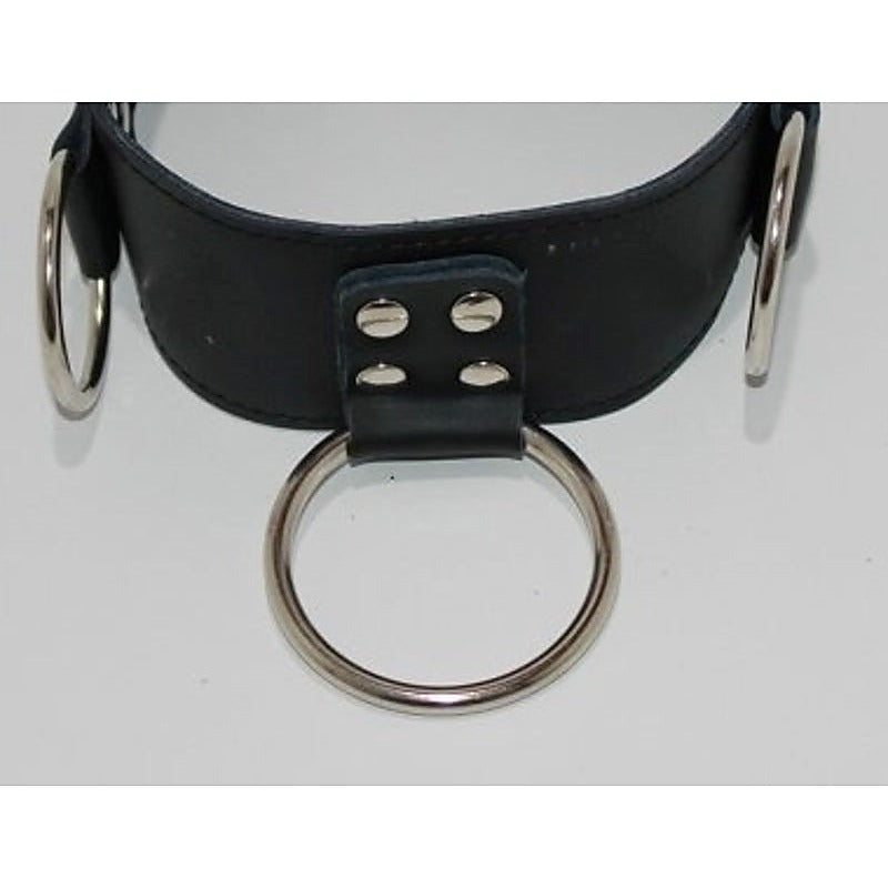 Gentle Medusa Ladies Bondage Collar Light PVC by BDStyle - Collars and Leads