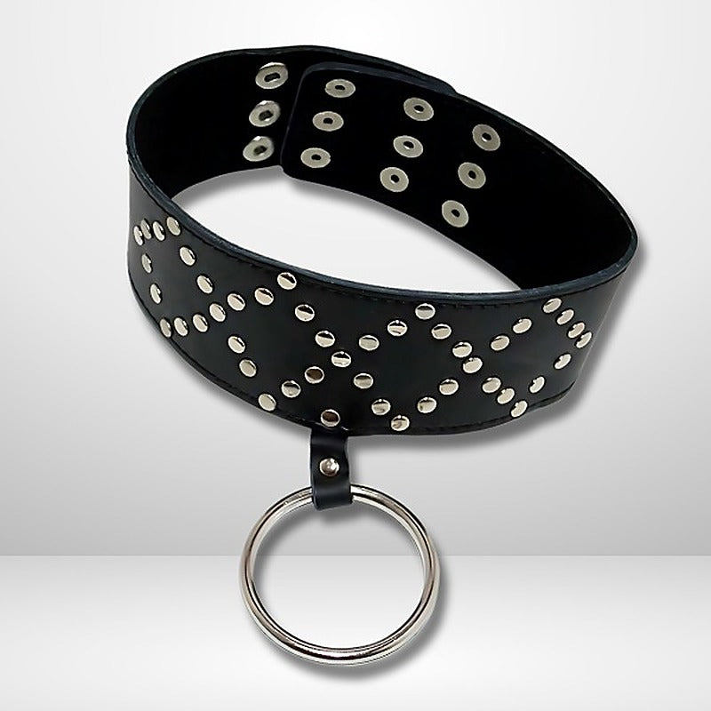 Wyred Slave Studded Posture Collar by BDStyle - Collars and Leads