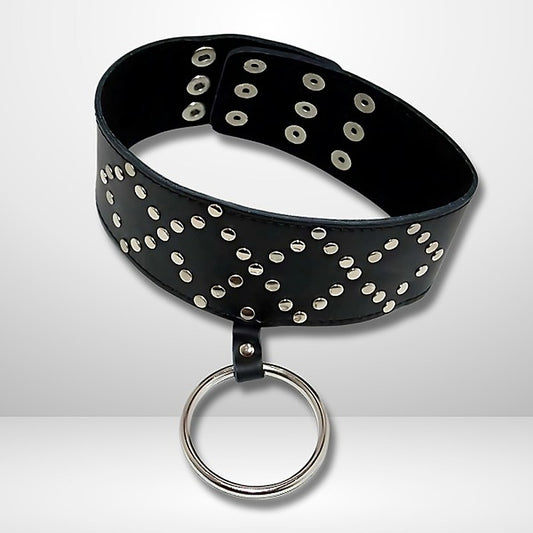 Wyred Slave Studded Posture Collar by BDStyle - Collars and Leads