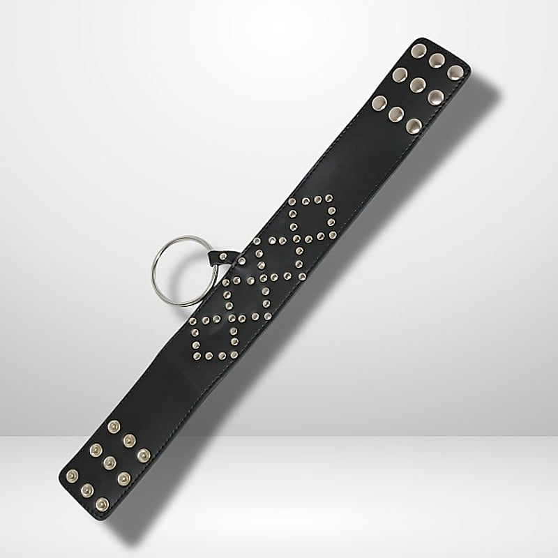 Wyred Slave Studded Posture Collar by BDStyle - Collars and Leads