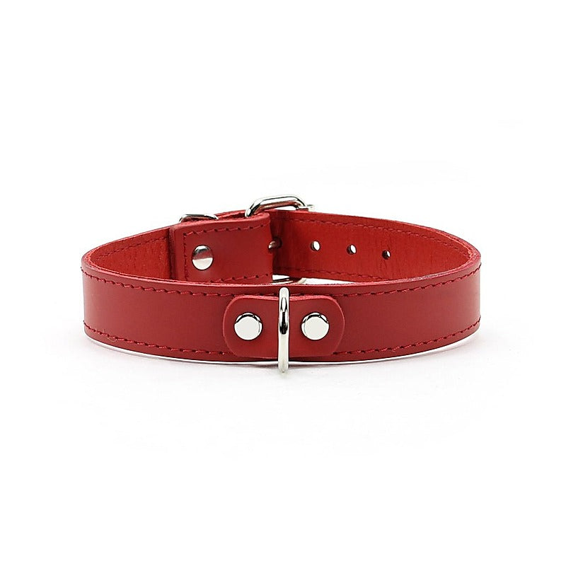 Bedroom Bondage Collar Adjustable Red Leather with Lead - Collars and Leads
