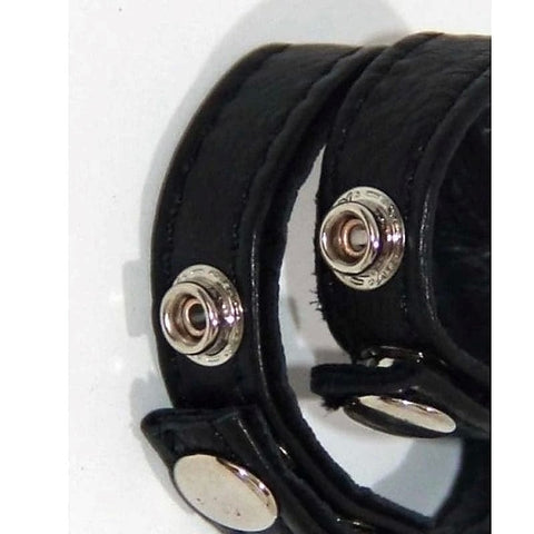 Professional Axsmar Cock Ring by BDStyle - Cock Rings