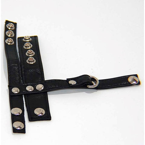 BDStyle Strap on Cock and Ball Harness with D Ring Leash Attachment - Male Chastity