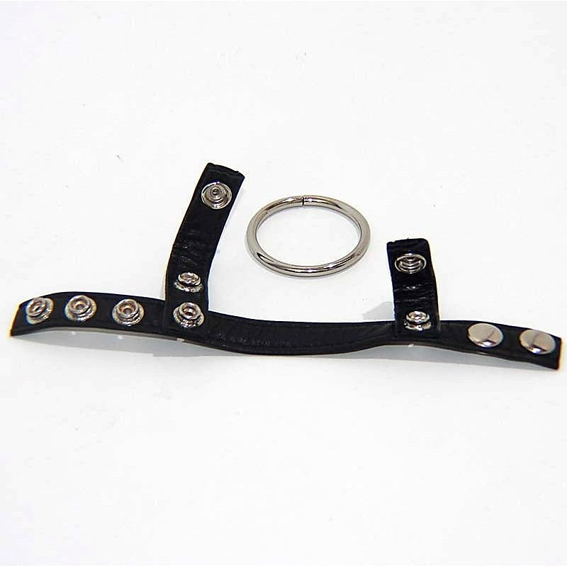 BDStyle Leather Testicle & Metal Penis Rings with Adjustable Fit - Cock Rings
