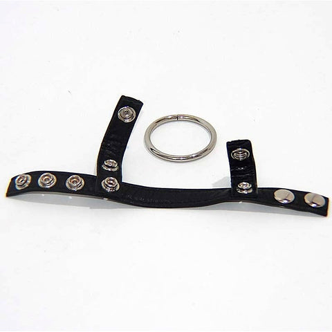 BDStyle Leather Testicle & Metal Penis Rings with Adjustable Fit - Cock Rings