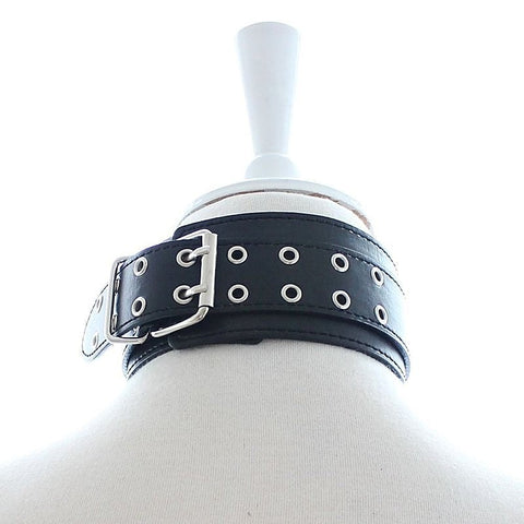 Pins Buckle Collar With D-Ring by BDStyle - Collars and Leads