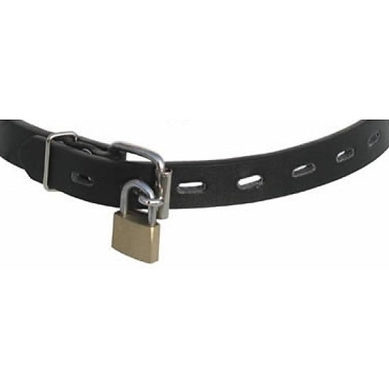 Leather Folk Ball Gag by BDStyle - Bondage Gags and Bits