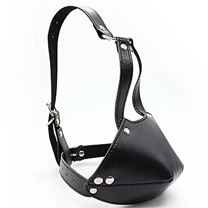 Bondage Face Harness & Ball Gag by BDStyle - Bondage Gags and Bits