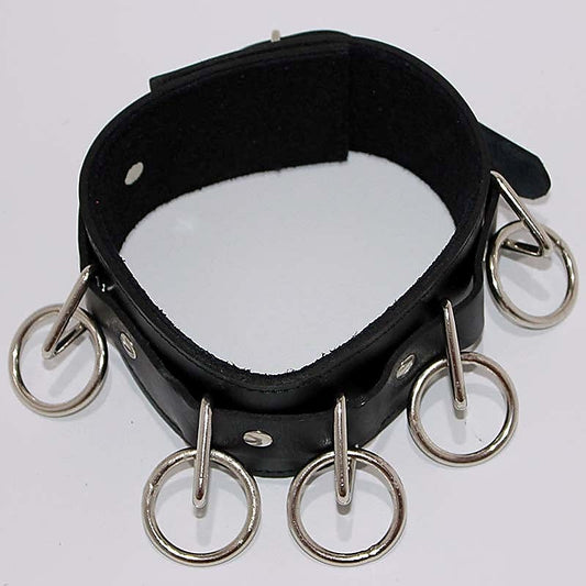 Wild Cat BDSM Pleasure-Control Collar-Lead Ensemble - Collars and Leads