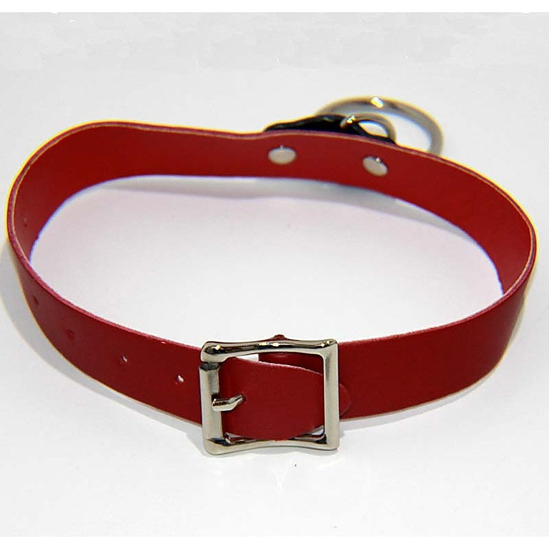 Kitty Red Collar with O Ring Light by BDStyle - Fancy Dress Ups