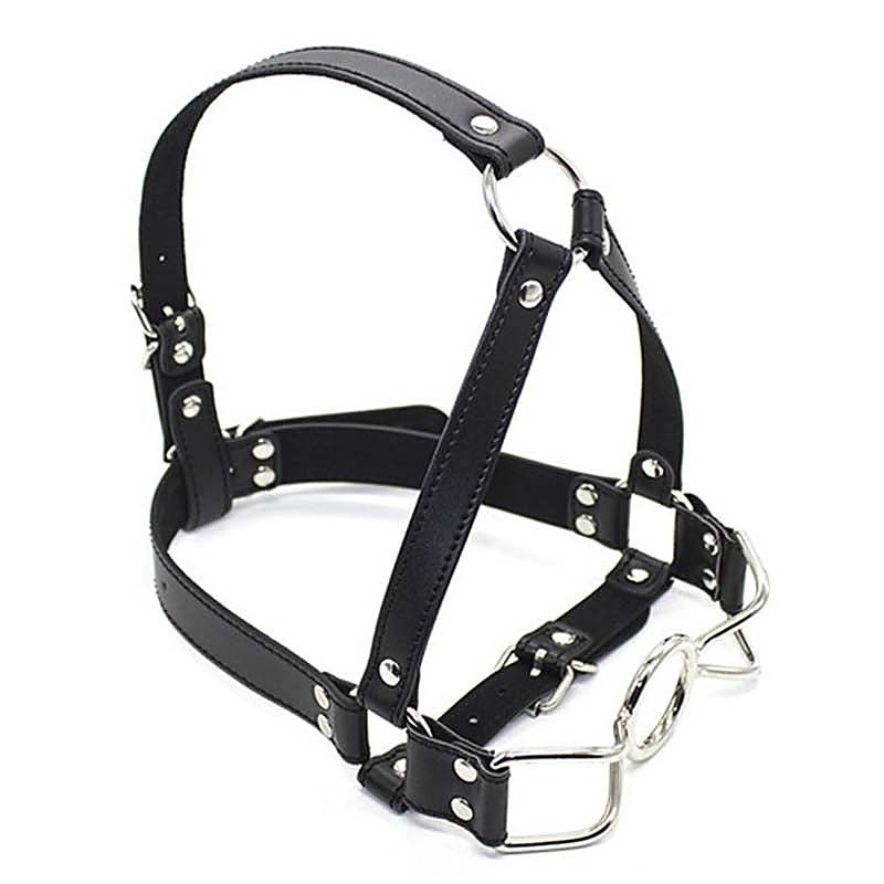 Spider Legs Mouth Gag with Harness by BDStyle - Bondage Gags and Bits