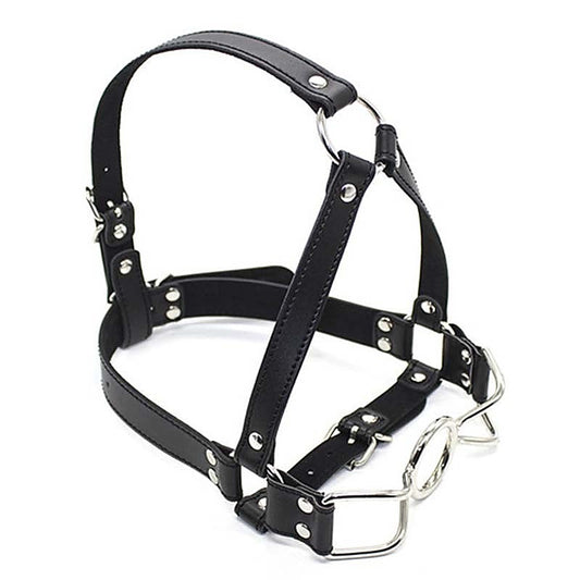 Spider Legs Mouth Gag with Harness by BDStyle - Bondage Gags and Bits