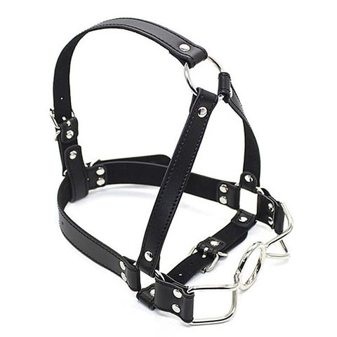 Spider Legs Mouth Gag with Harness by BDStyle - Bondage Gags and Bits