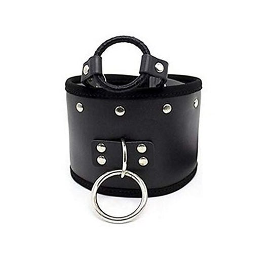 Posture Collar & O Ring Gag Light by BDStyle - Collars and Leads