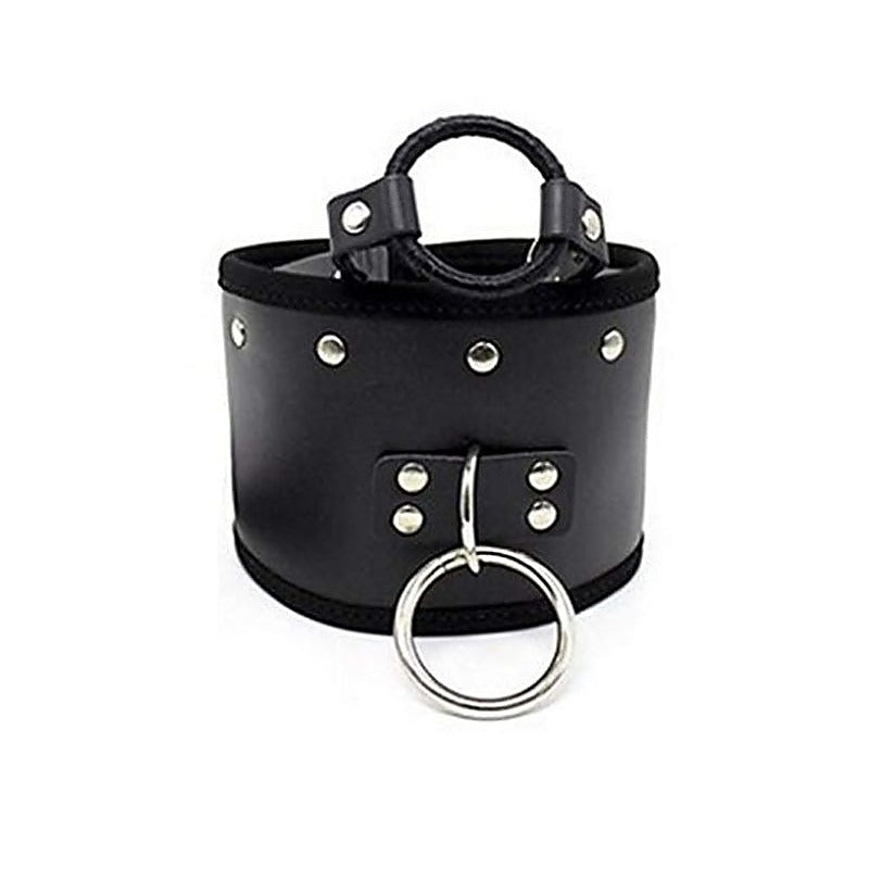 Posture Collar & O Ring Gag Light by BDStyle - Collars and Leads