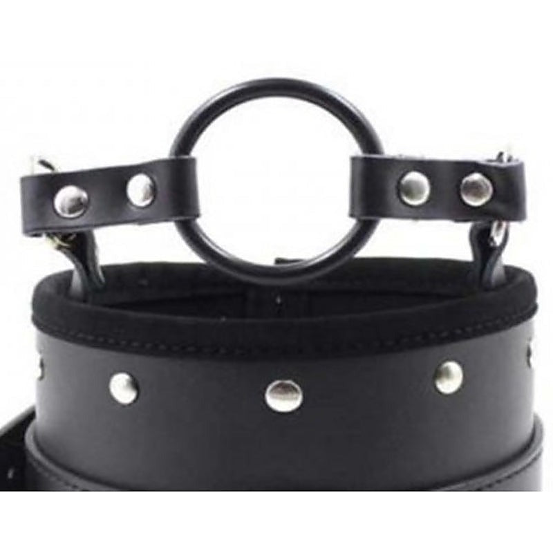 Posture Collar & O Ring Gag Light by BDStyle - Collars and Leads