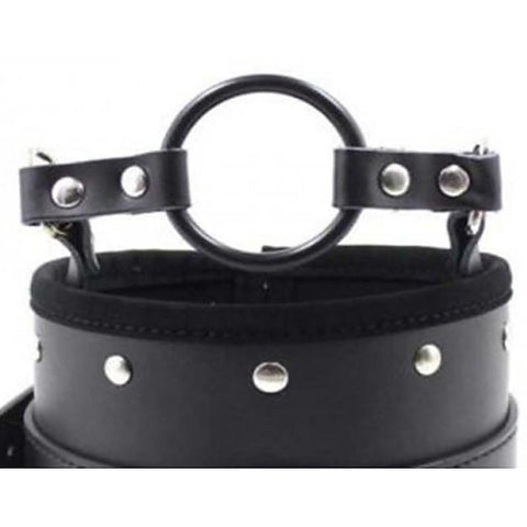 Posture Collar & O Ring Gag Light by BDStyle - Collars and Leads